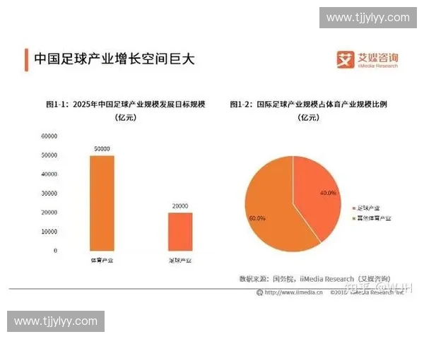 体育商业化趋势下的挑战与机遇分析：从市场化模式到全球化战略的转型